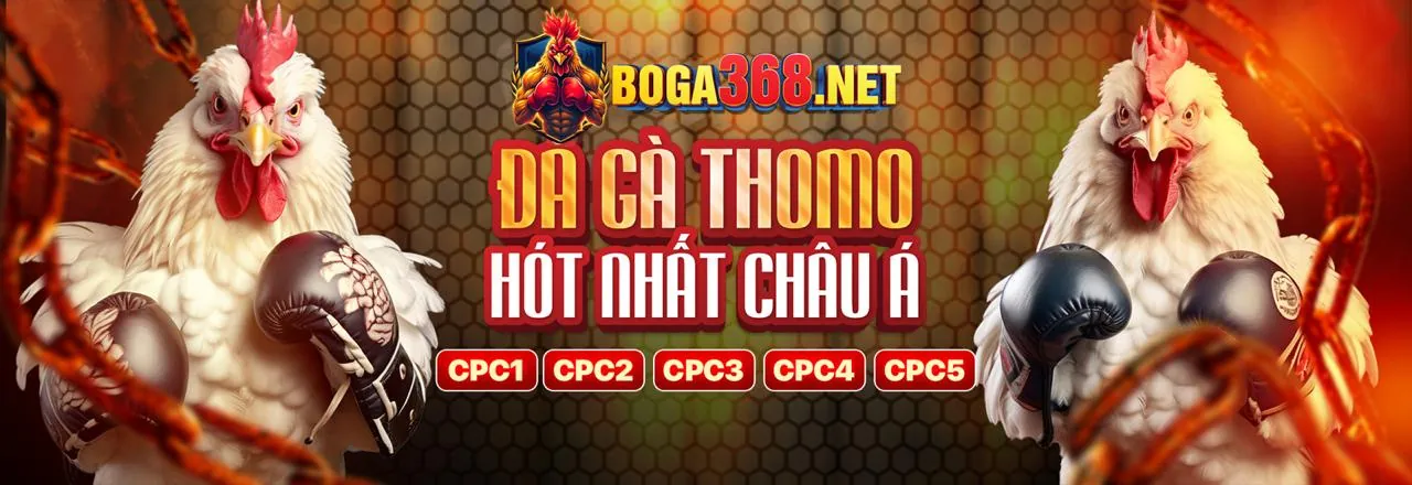 Sân đấu đá gà trực tuyến Solarbet